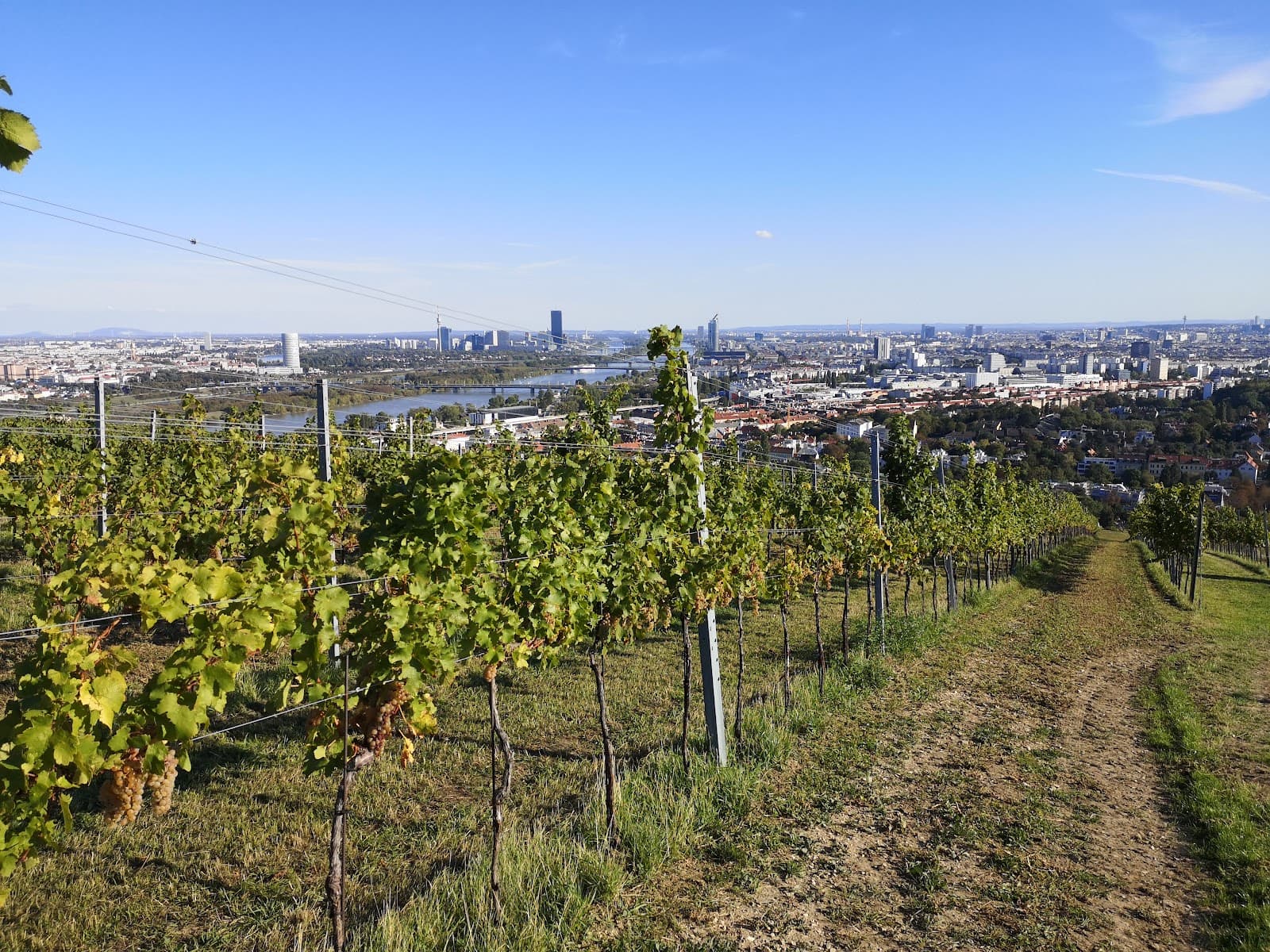 Nussberg - Image 1