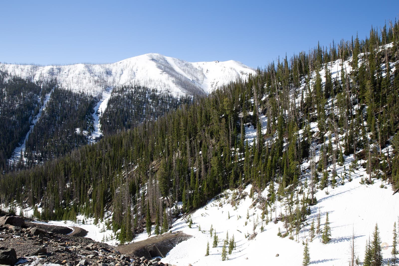 Sylvan Pass Yellowstone National Park - Image 1