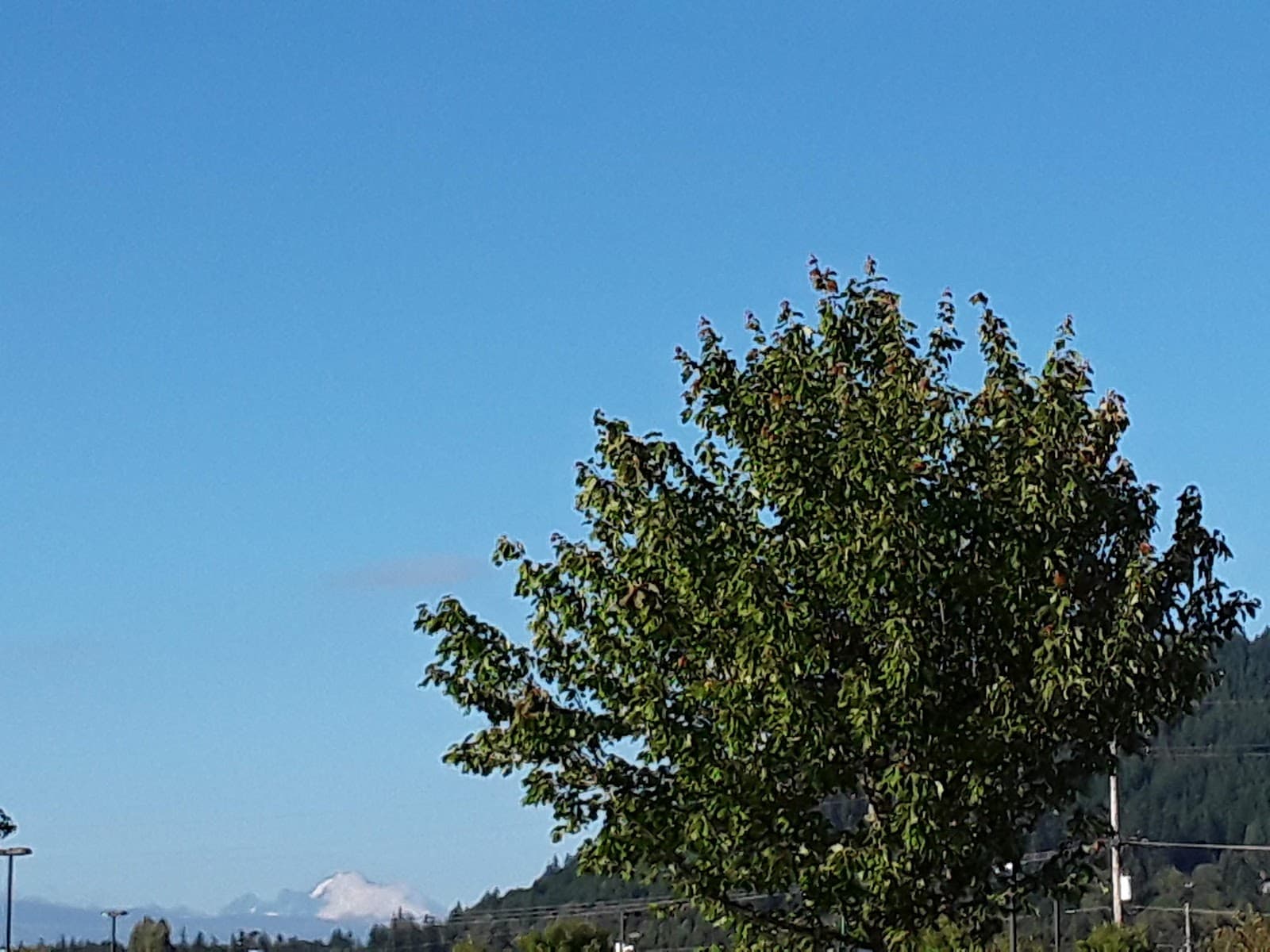 South Skagit Highway Scenic Drive - Image 1