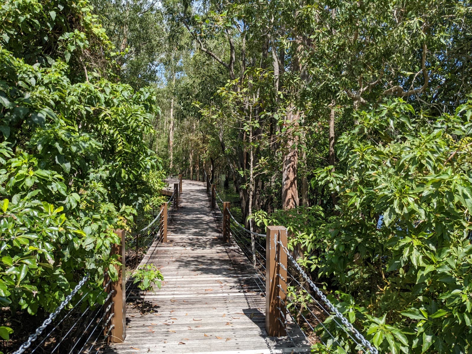 Manton Dam Recreation Area - Image 1