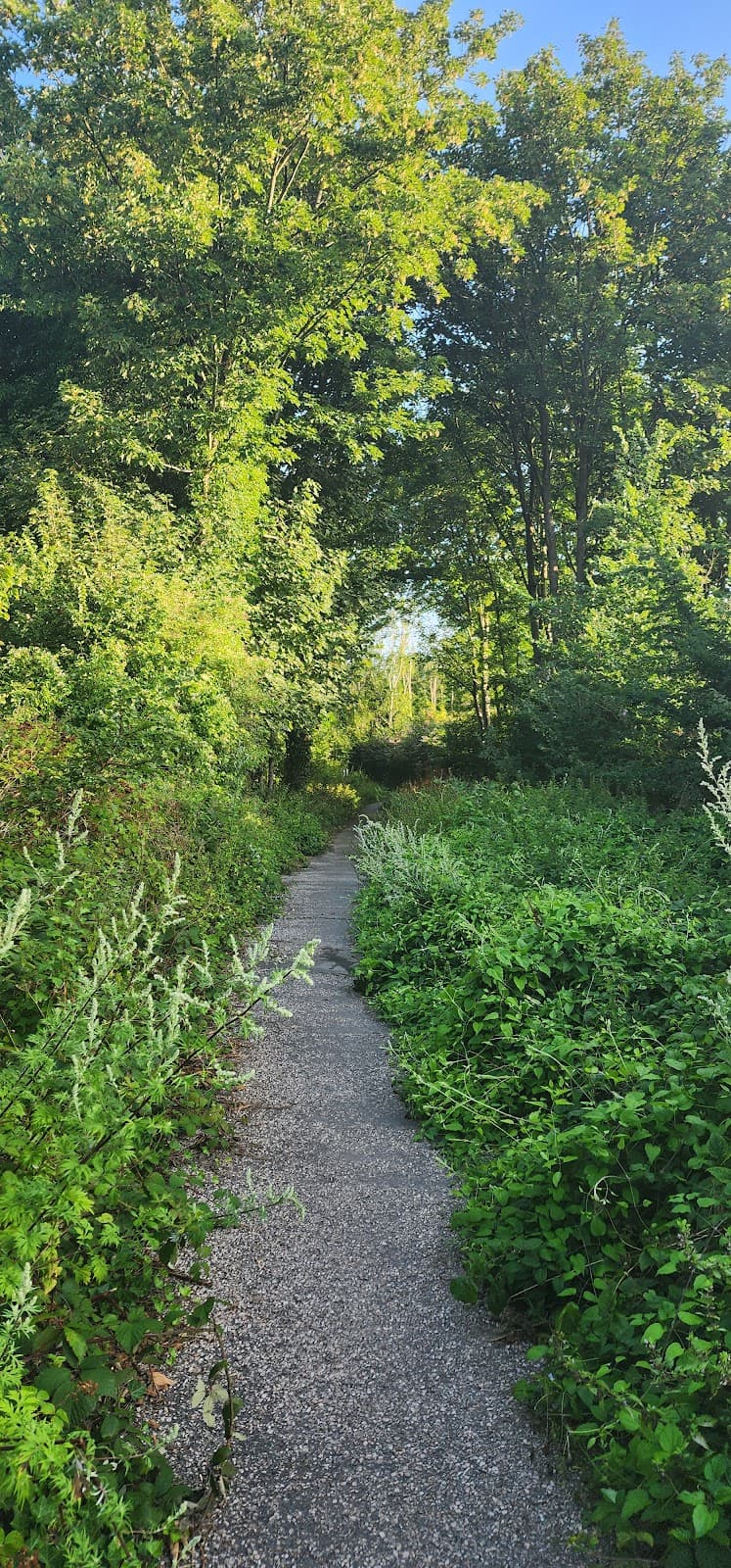 Benfield Valley Nature Reserve - Image 1