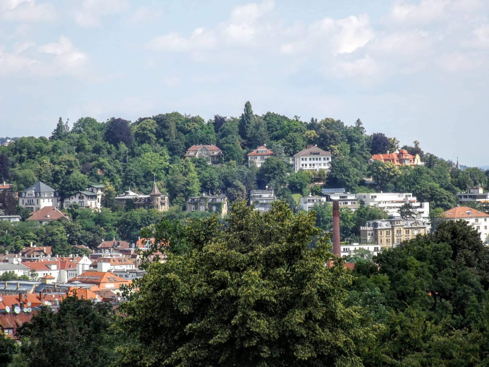 Green Spaces and Walking Paths