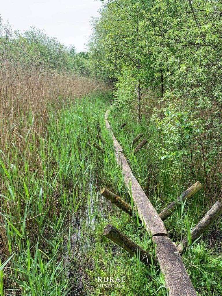 Scenic Waterway Walks