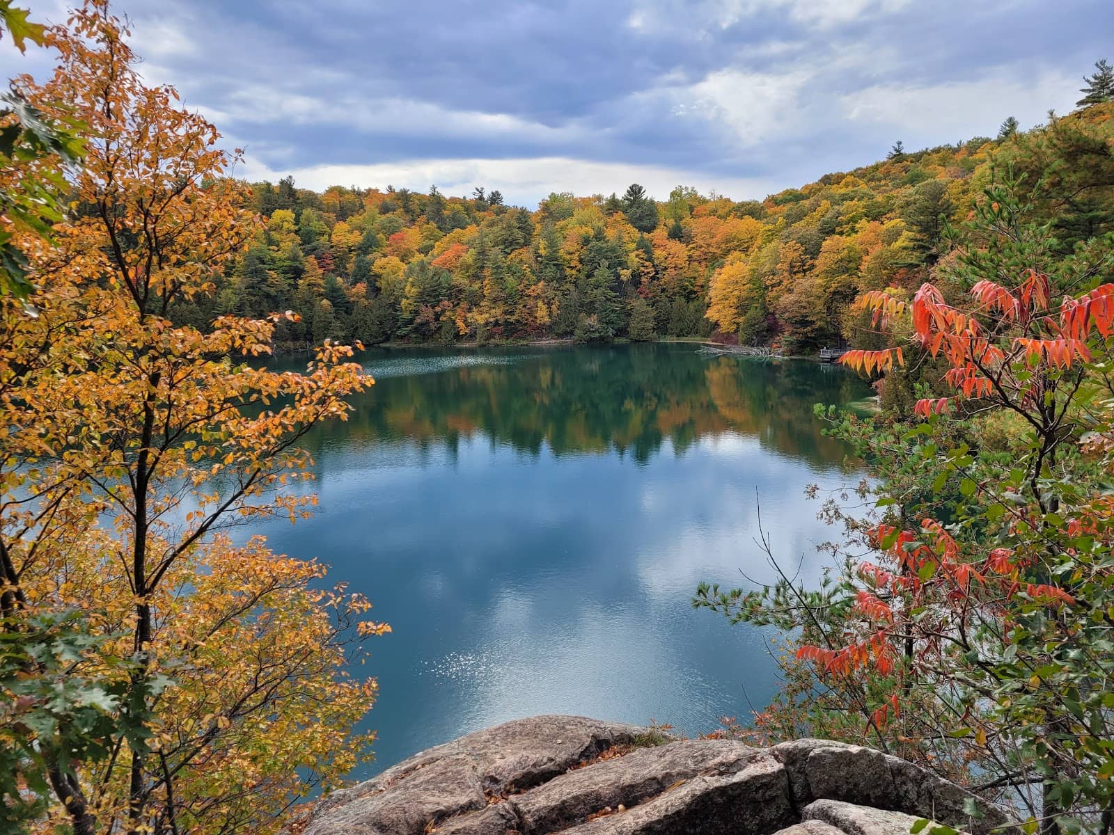 Fall Foliage Spectacle