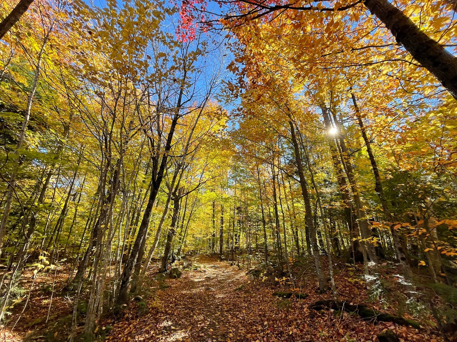 Meech Creek Valley - Image 1