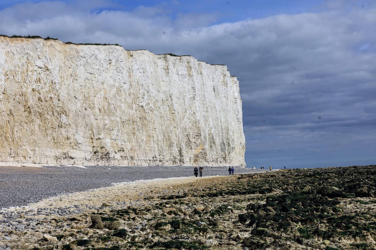 Pebble Beach Exploration