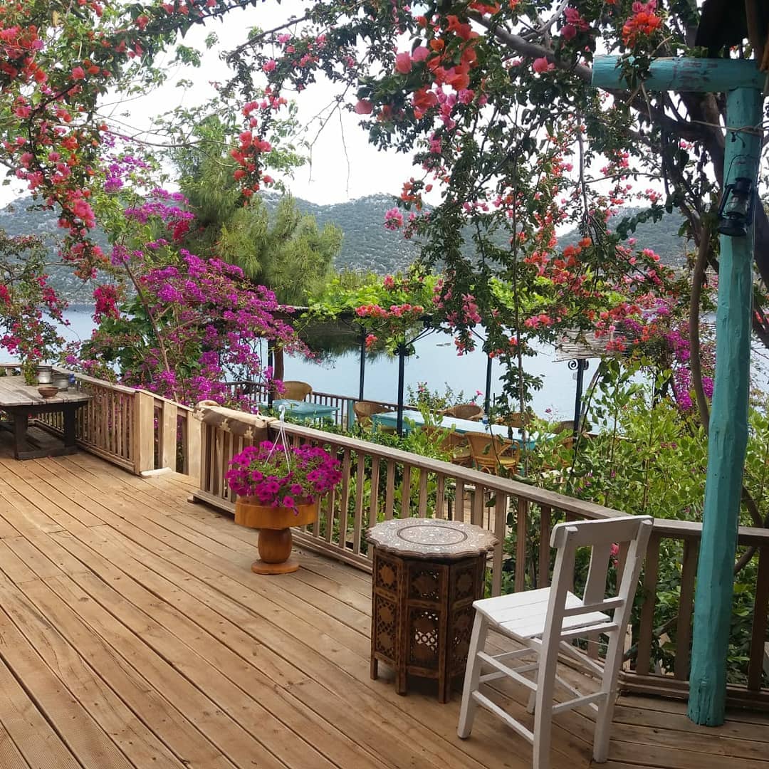 Romantic Dinners by the Sea