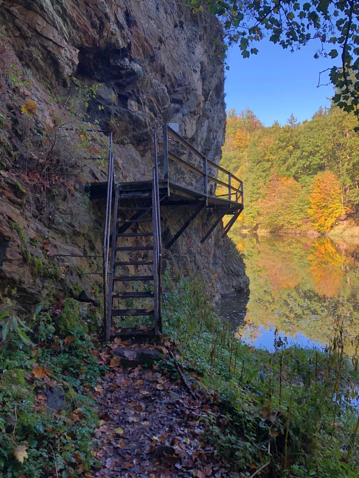 Vertical photo