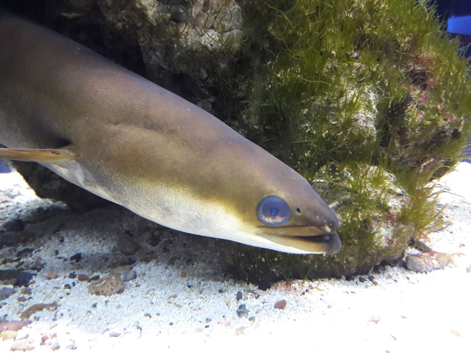 Orbetello Lagoon Aquarium Talamone - Image 1