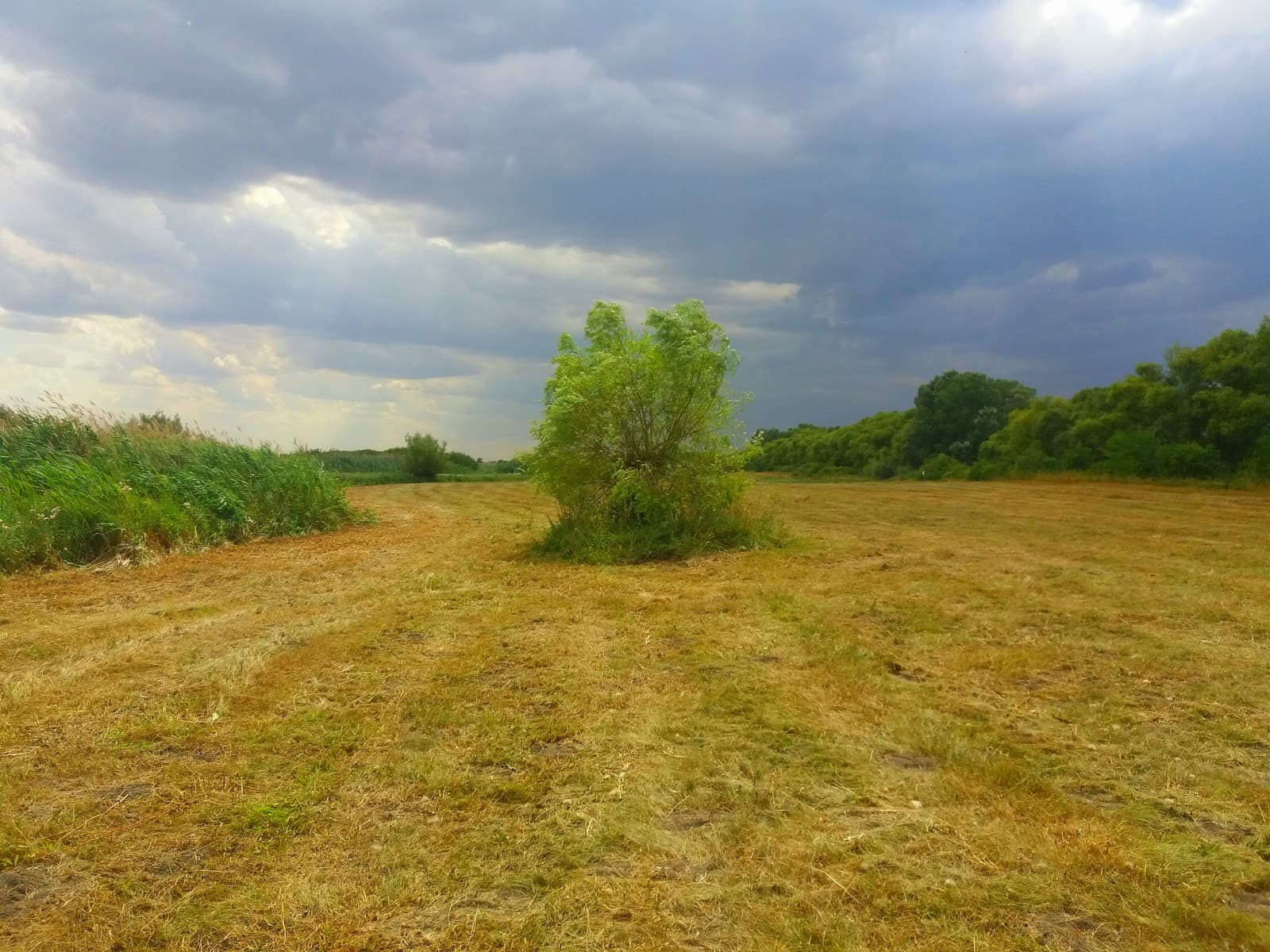 Satchinez Marshes - Image 1