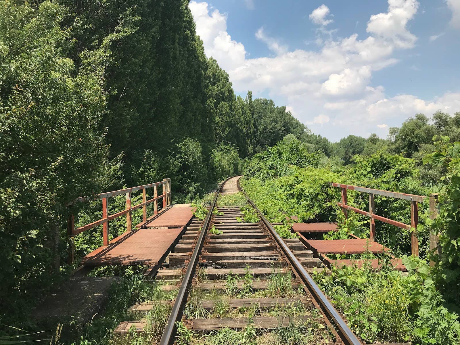 Vertical photo