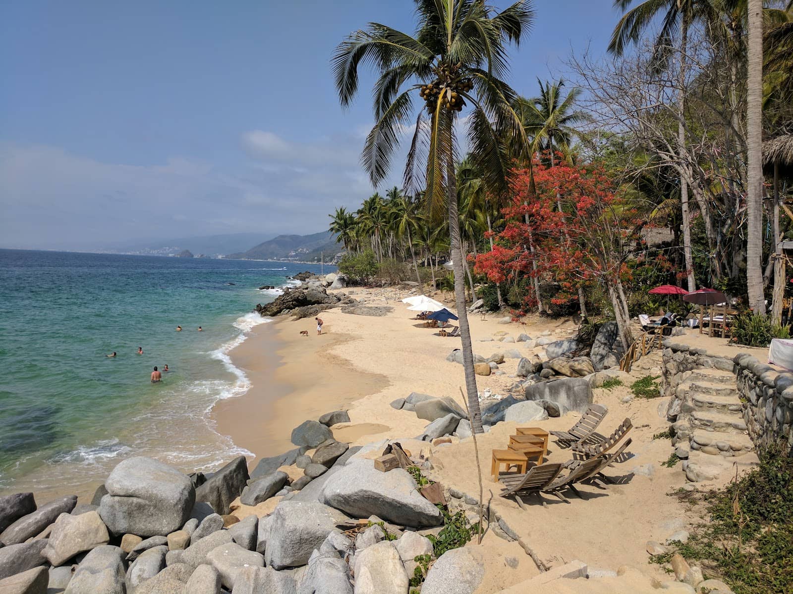 Coconut Refreshments