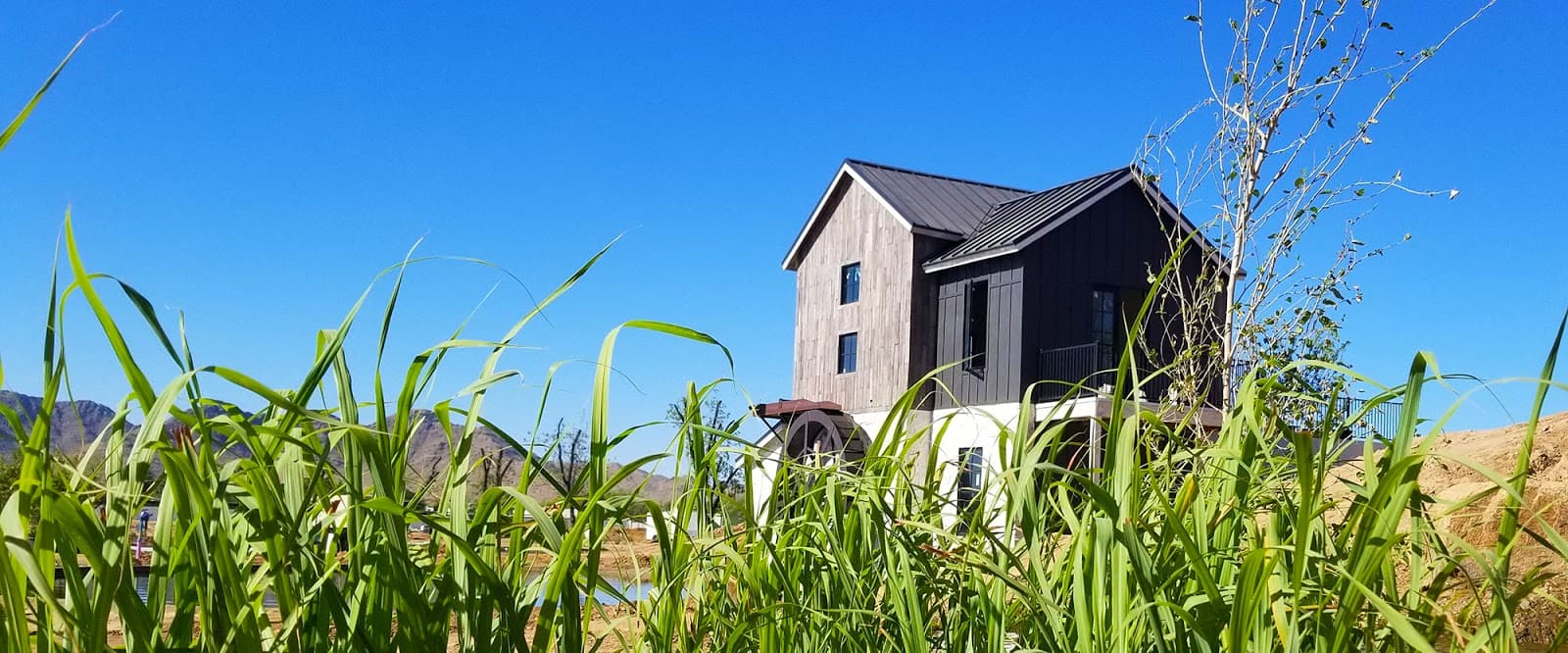 Queen Creek Botanical Gardens - Image 1