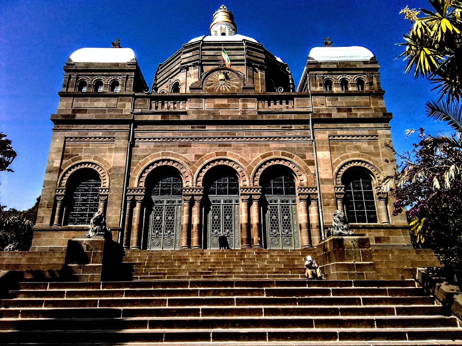 Massive Resident Turtles