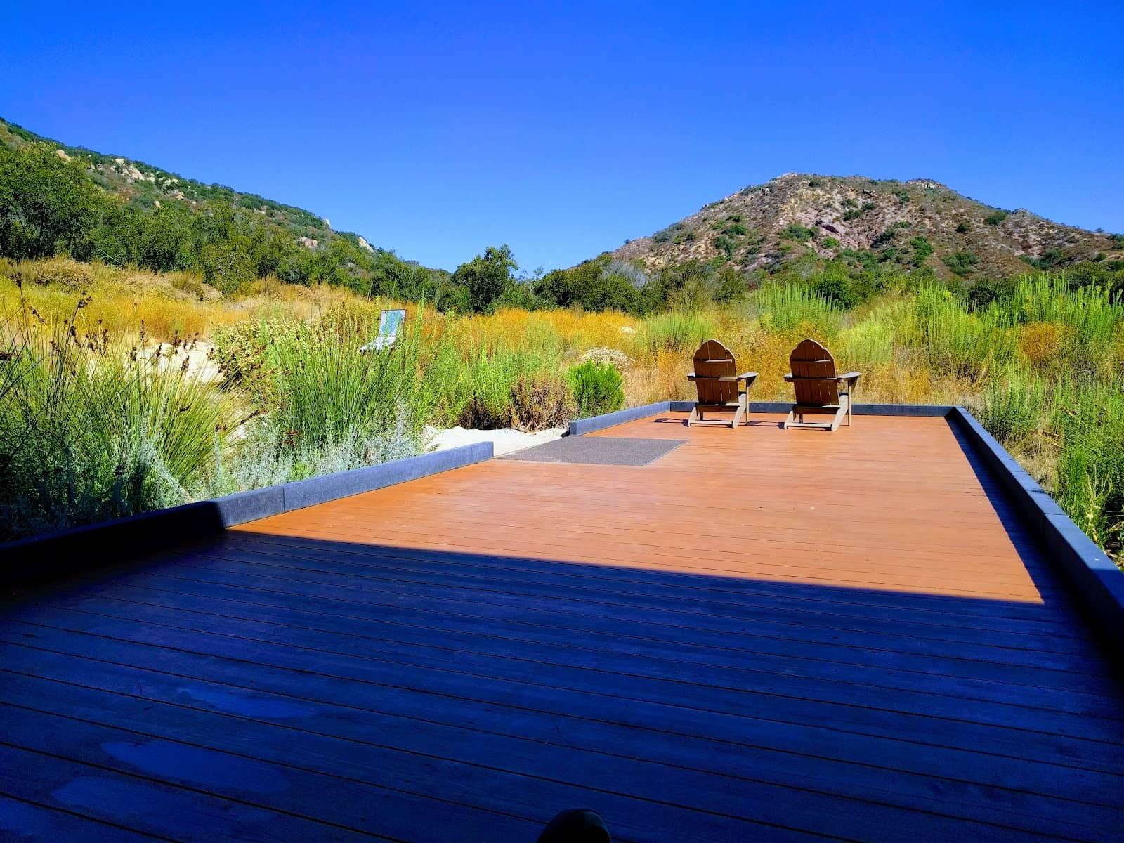 Hawks and Raptors Program