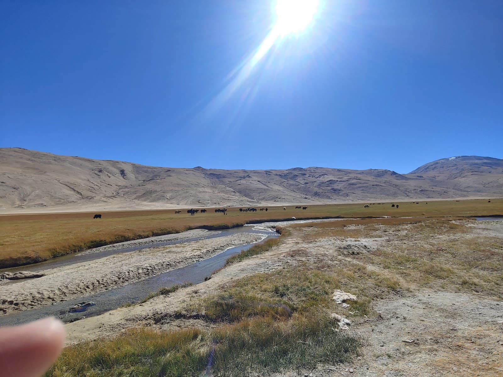 Puga Hot Springs Ladakh - Image 1