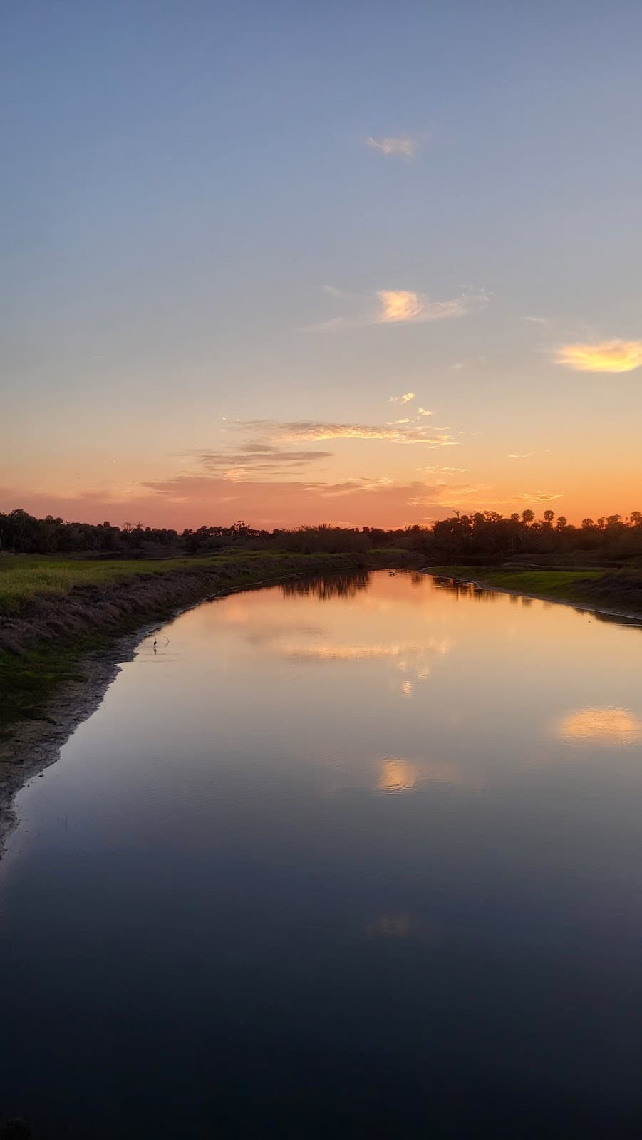 Myakka River State Park - Image 1