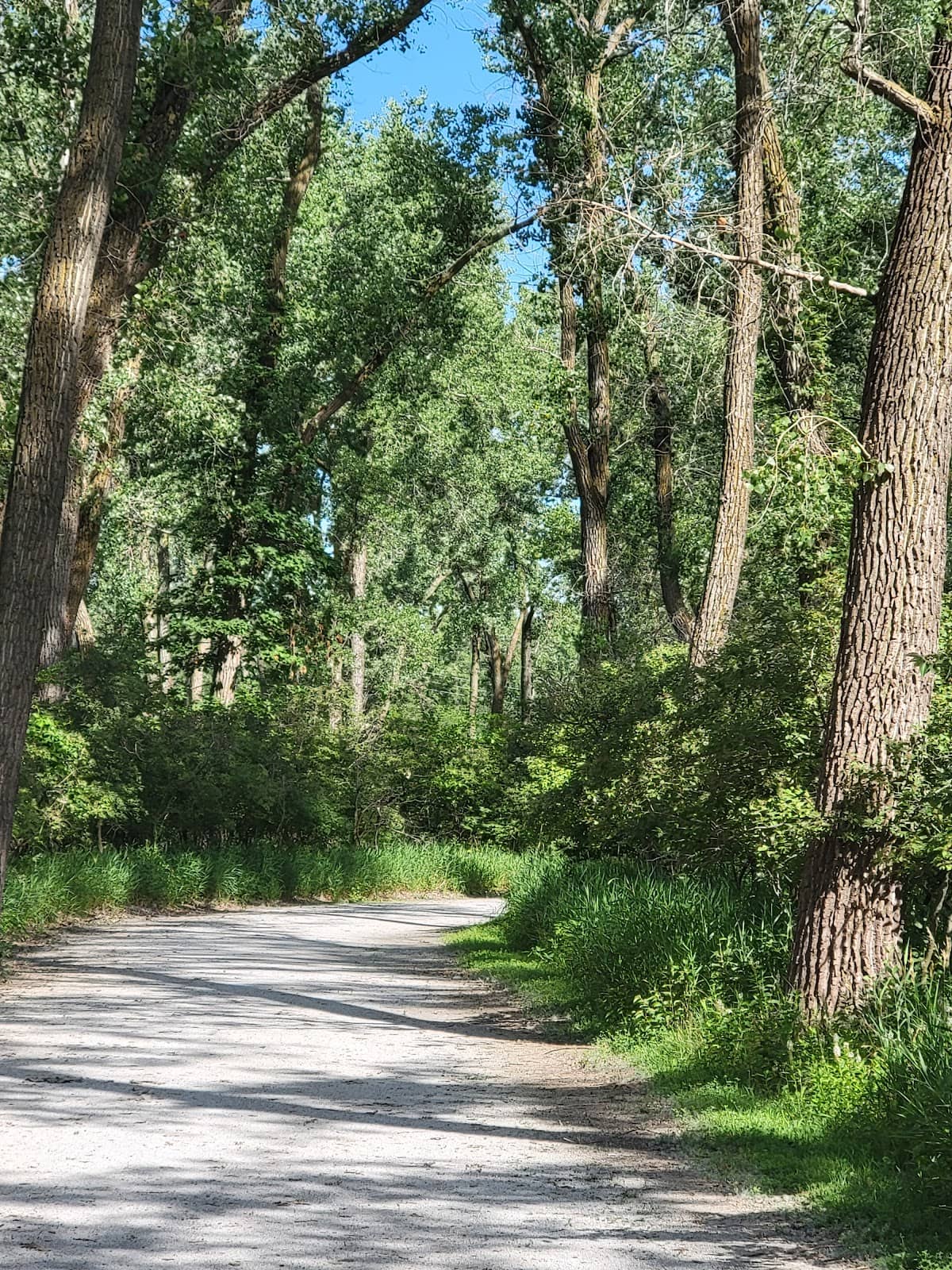 Vertical photo