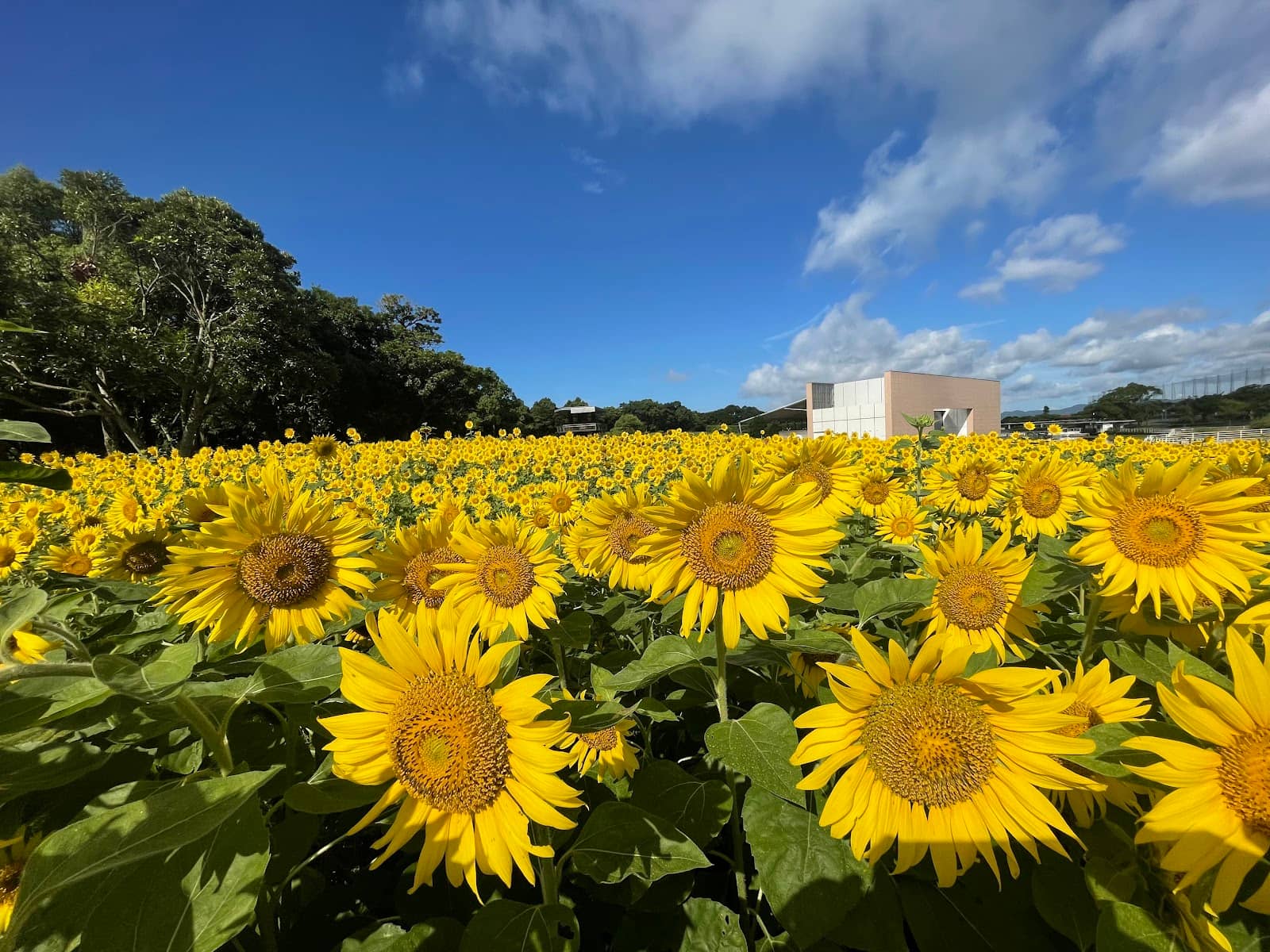 Garden Park Exploration