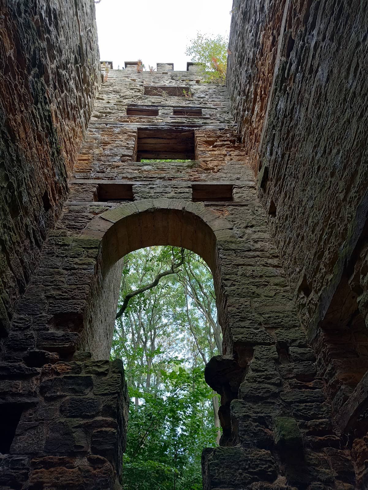 Vertical photo