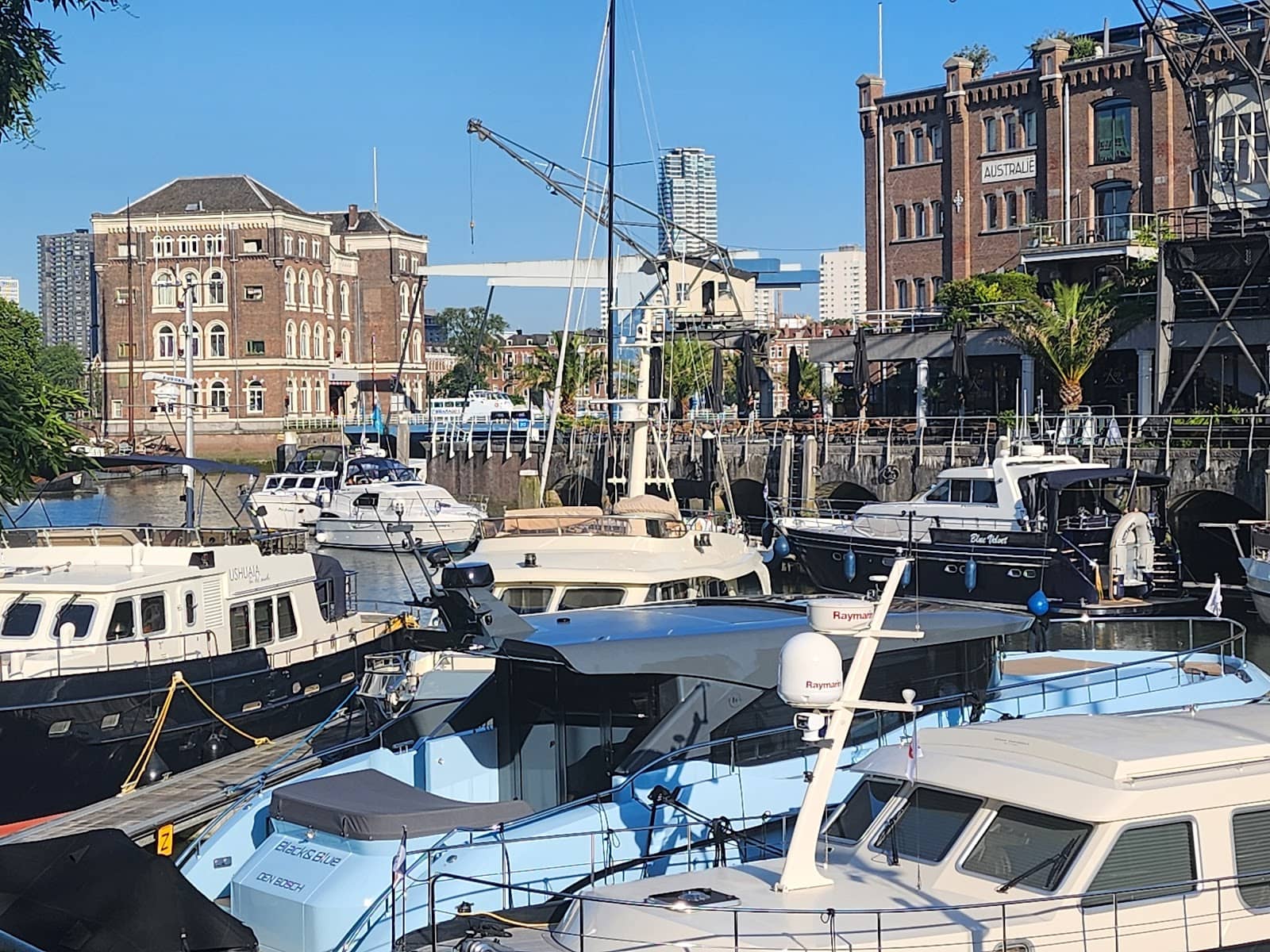 Port of Rotterdam Boat Tours