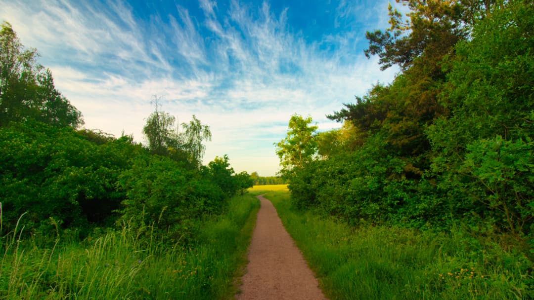 Clayhanger Common - Image 1