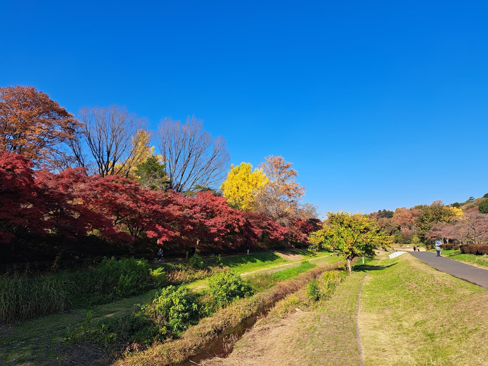 Musashino Park - Image 1