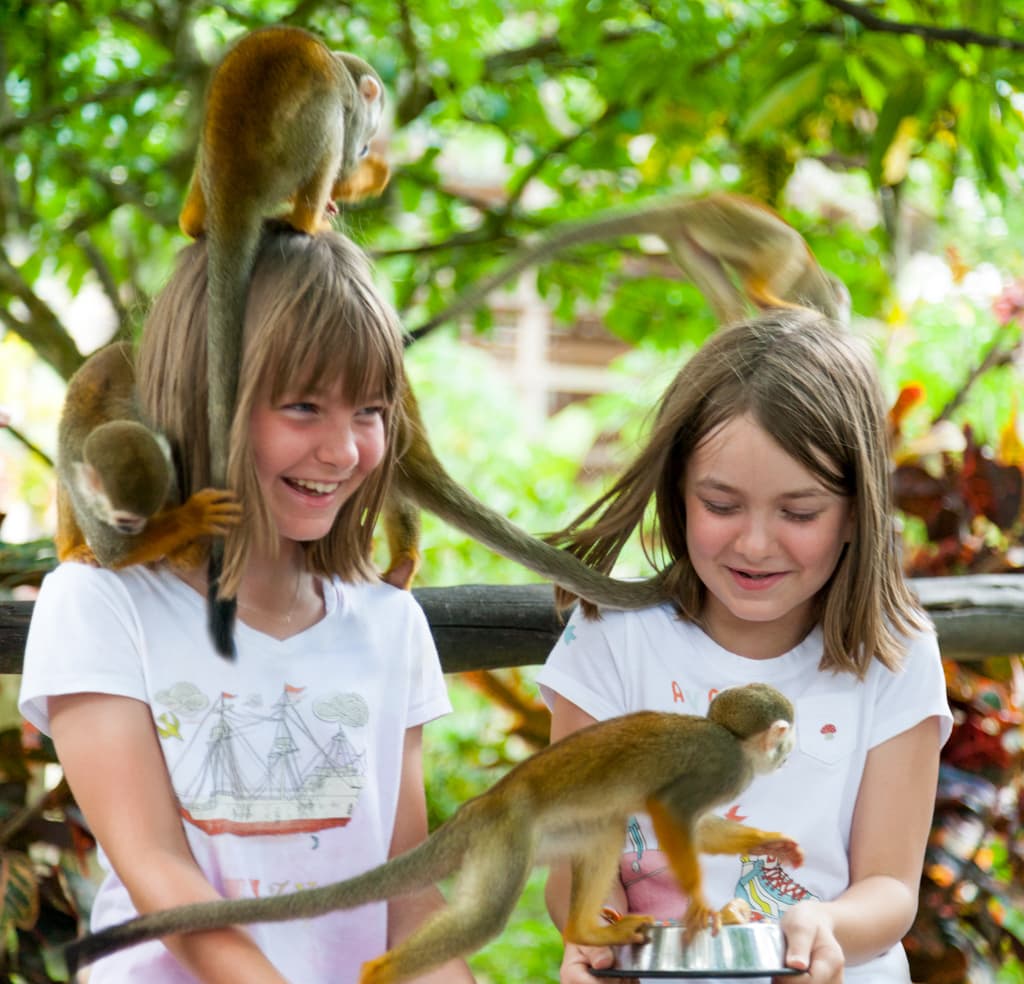 Monkeyland Puerto Plata - Image 1