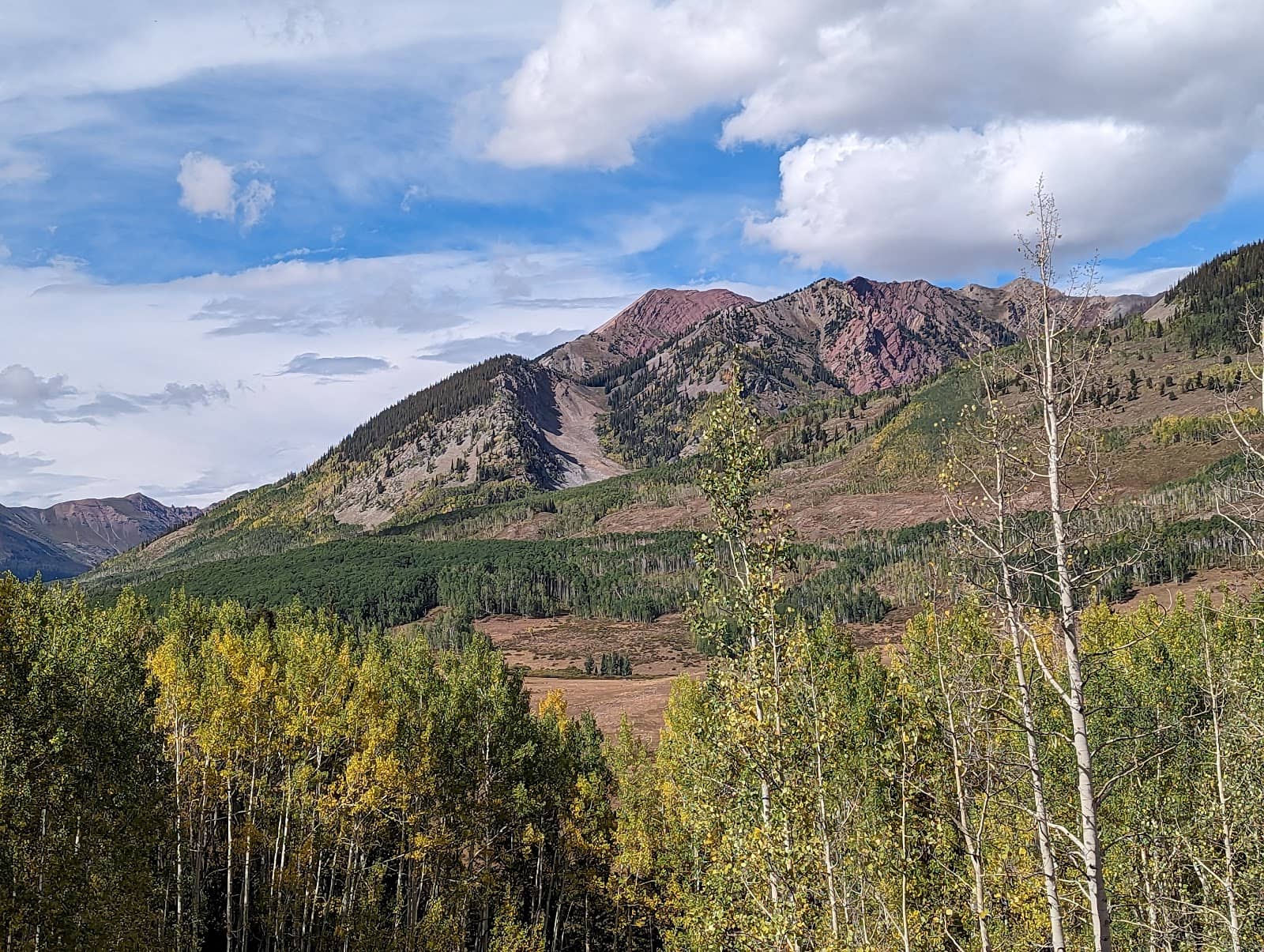 Alpine Scenery & Wildflowers
