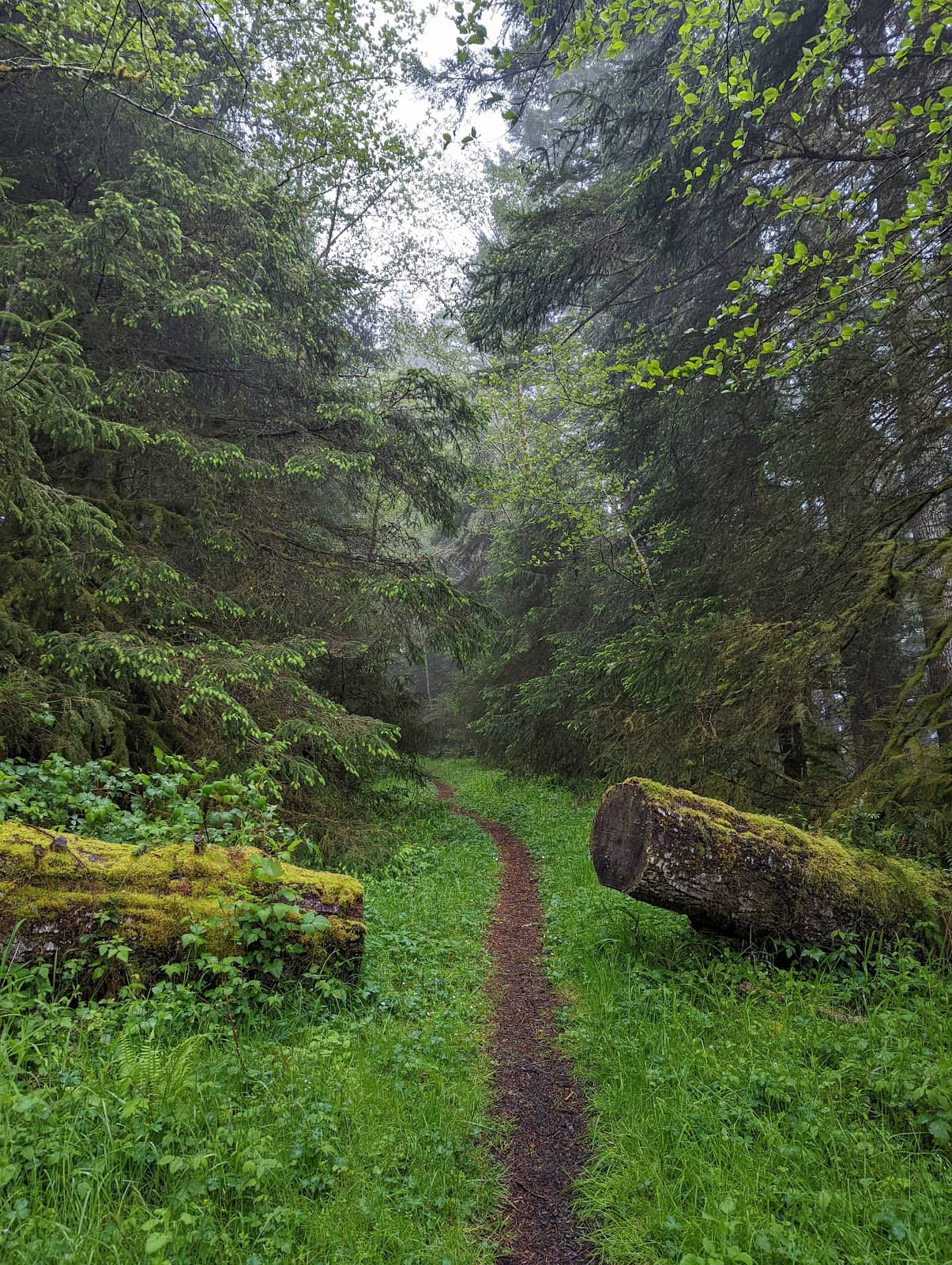 Unofficial Wilderness Descent