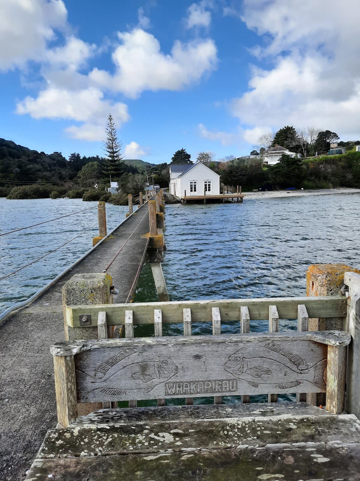 Whakapirau Beach - Image 1