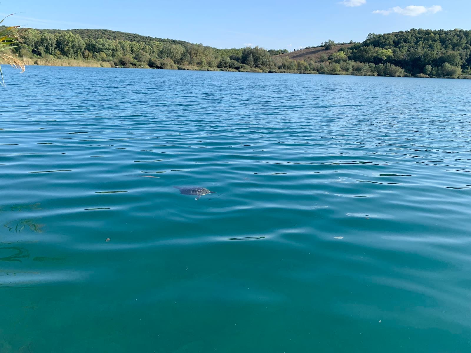 Lago dell'Accesa Archaeological Park - Image 1