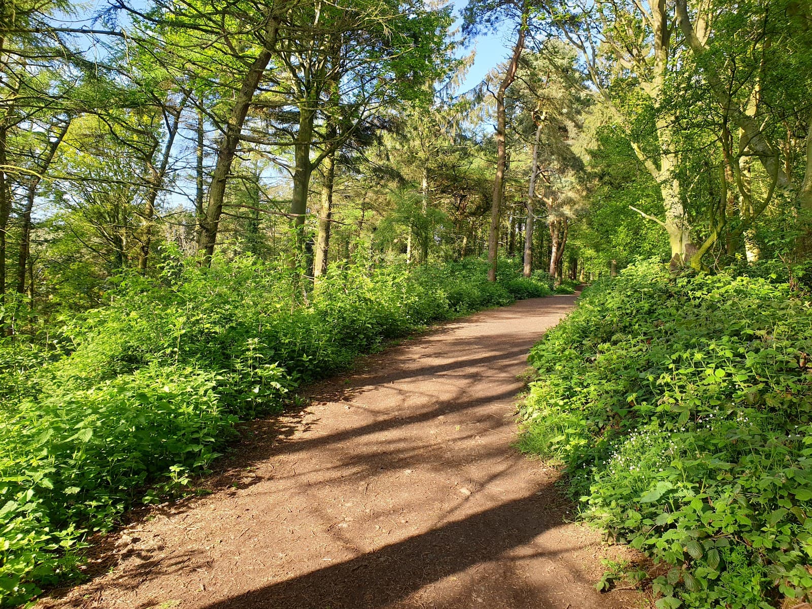 Errington Woods - Image 1