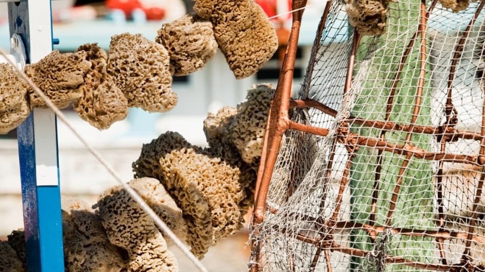 Tarpon Springs Sponge Docks - Image 1
