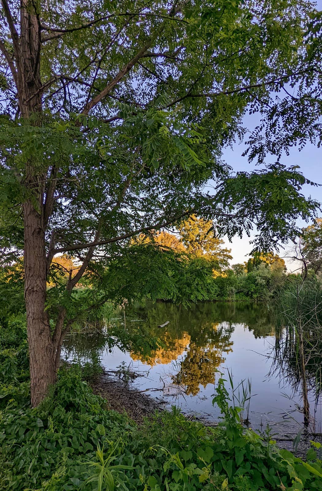 Vertical photo