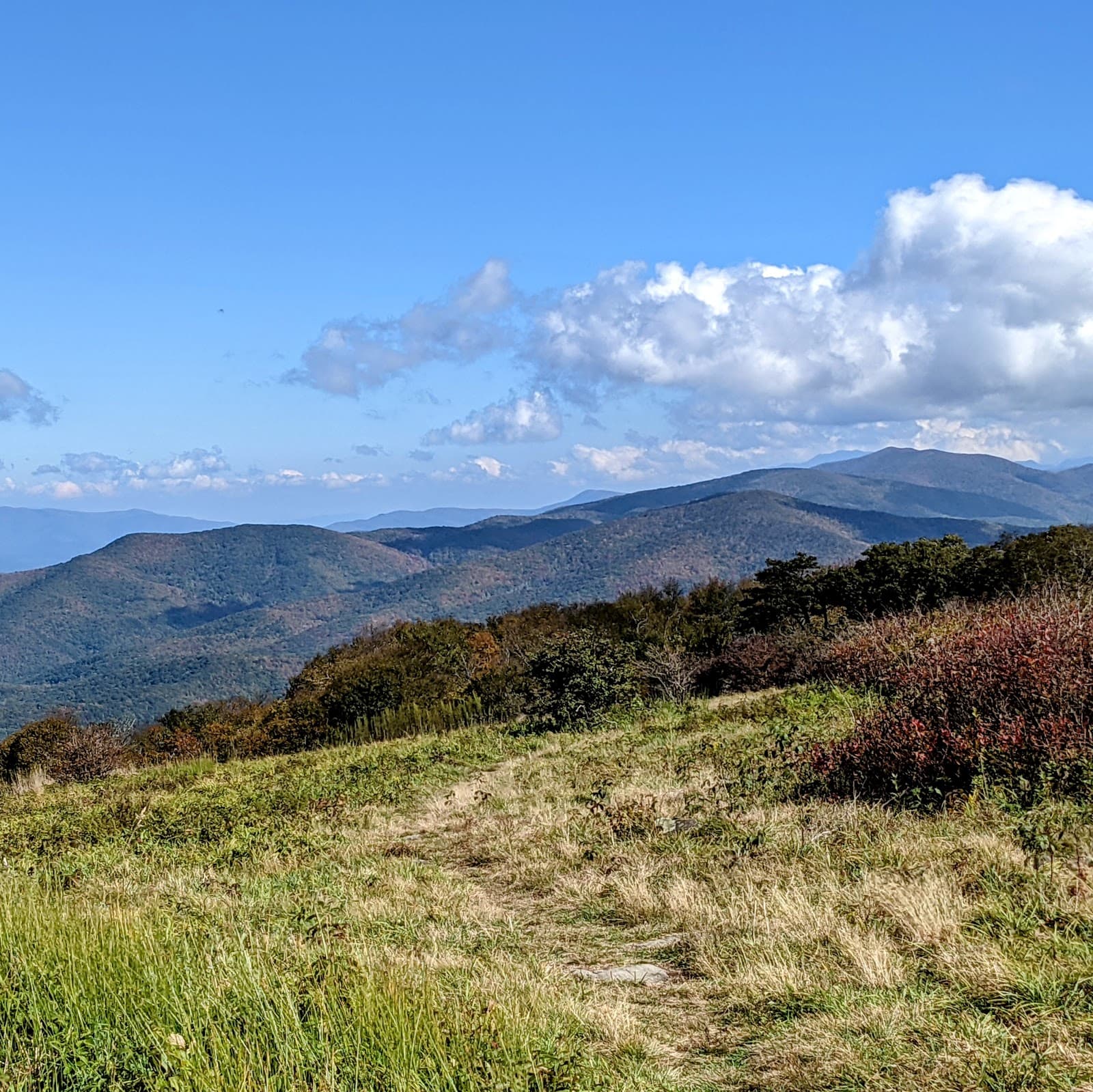 Gregory Bald Great Smoky Mountains National Park - Image 1