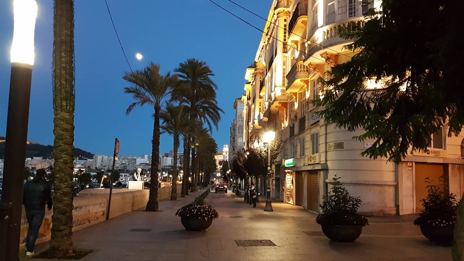 Family-Friendly Atmosphere