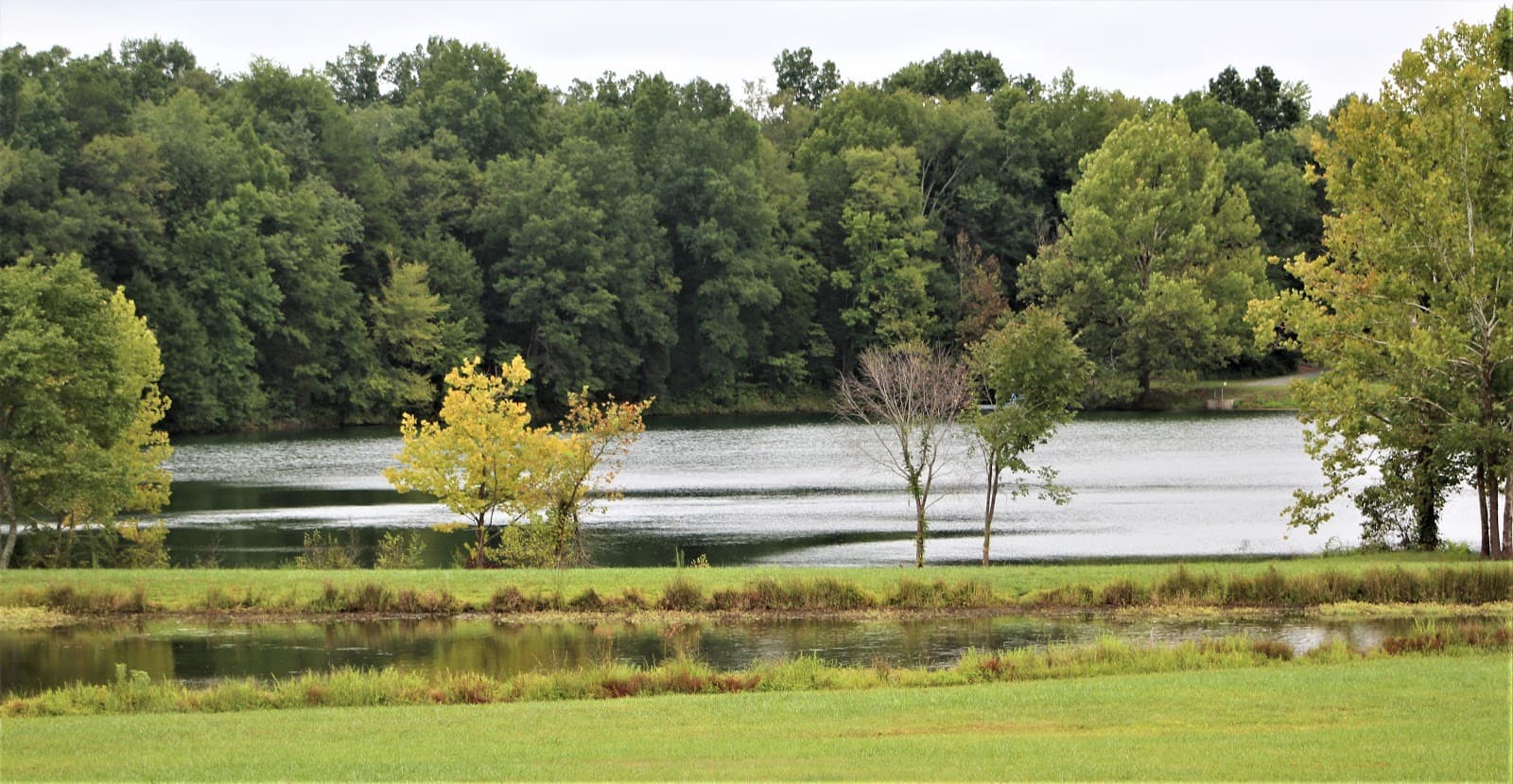 Rob Wallace Park - Image 1