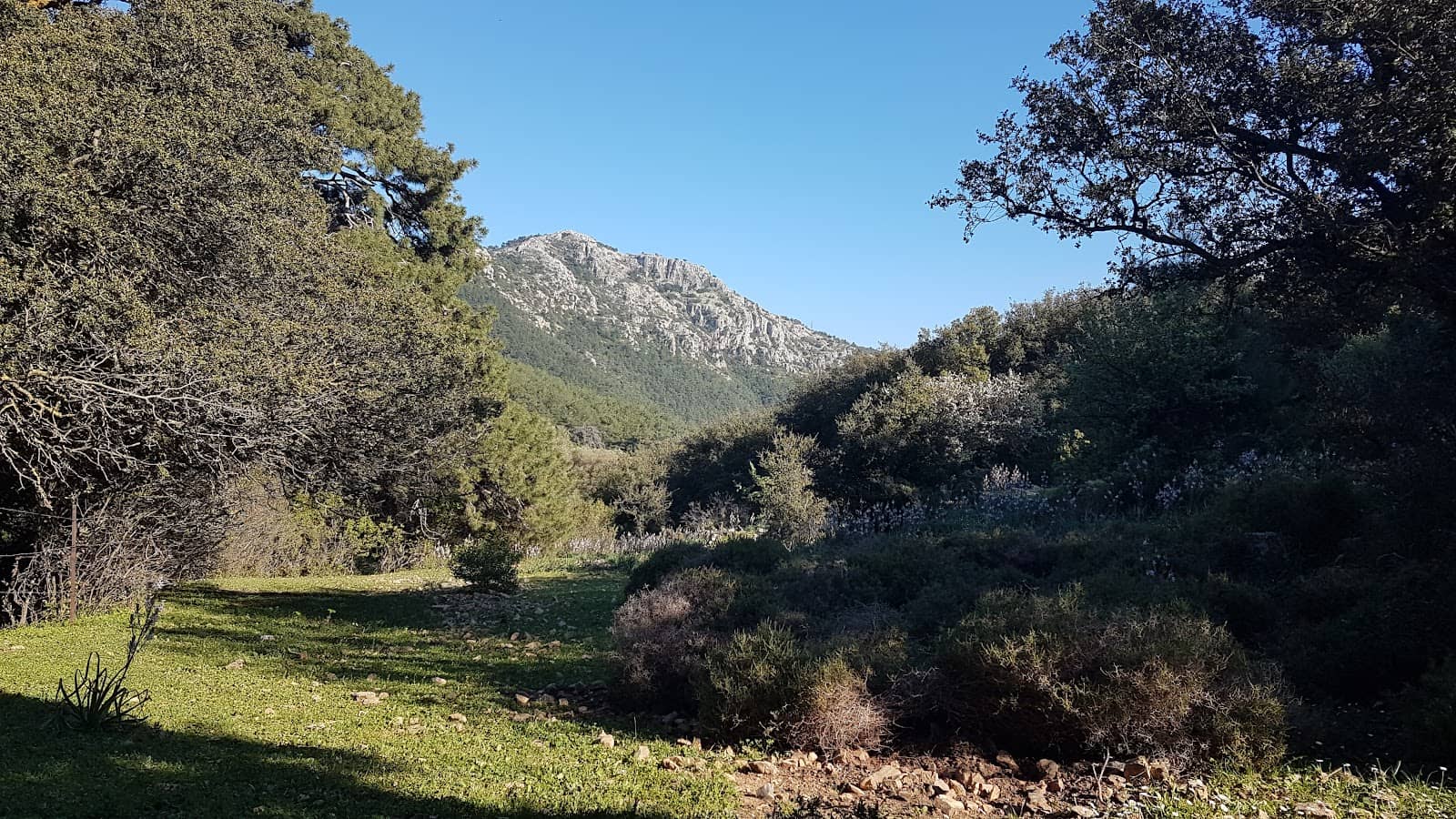 Leleg Trail Markers
