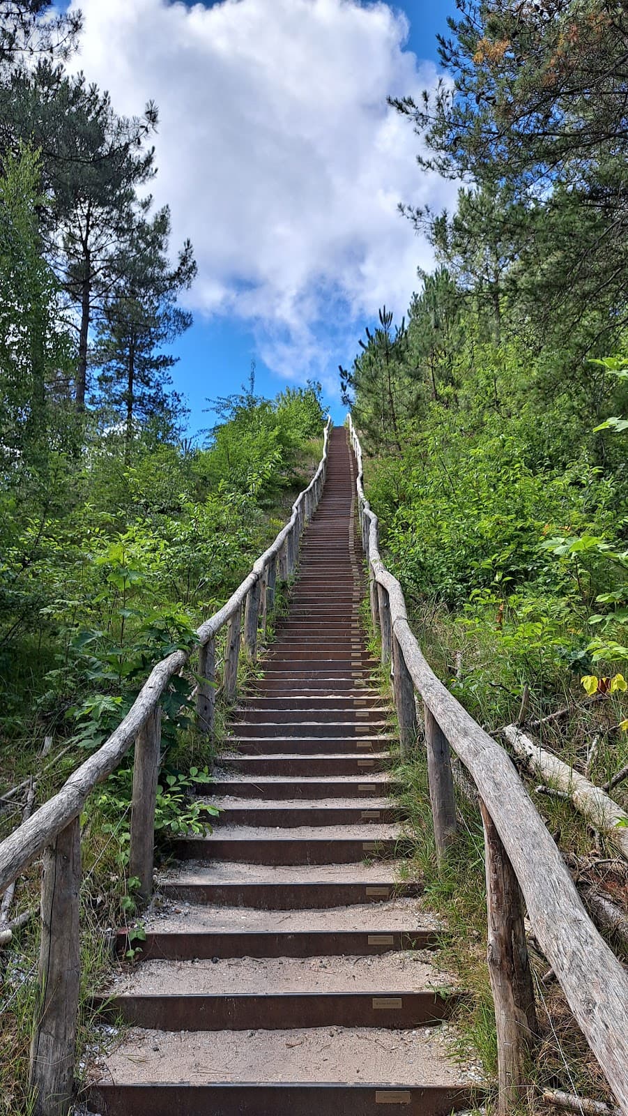 Schoorlse Duinen National Park - Image 1