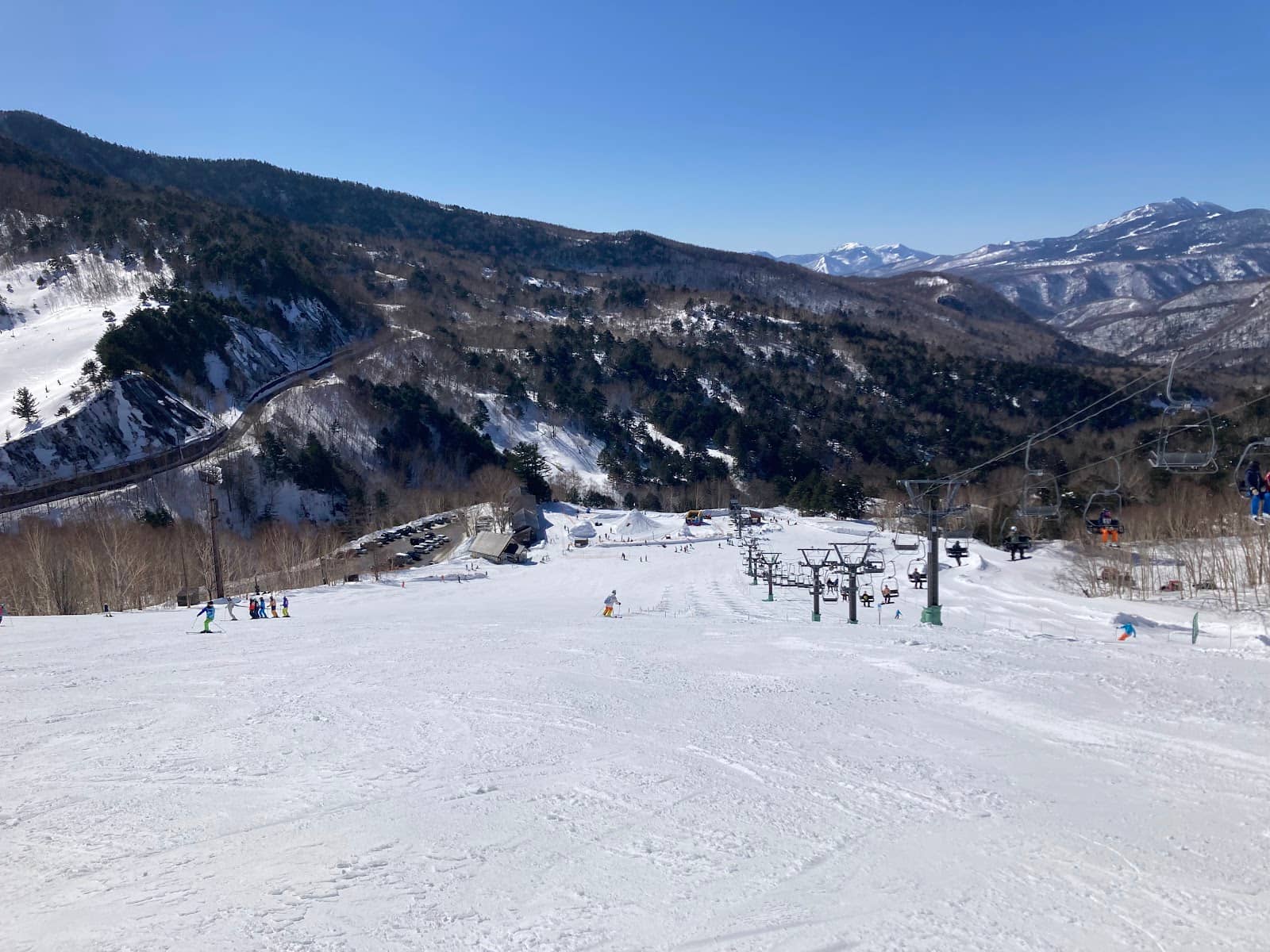 Ungroomed Powder Runs
