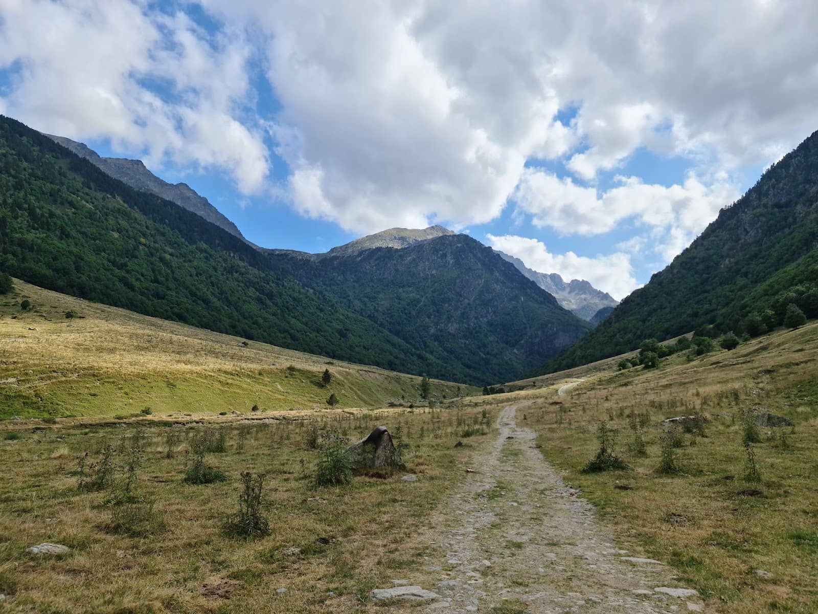 Scenic Hikes