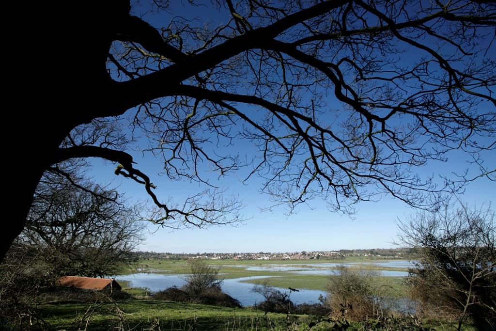 RSPB Pulborough Brooks - Image 1