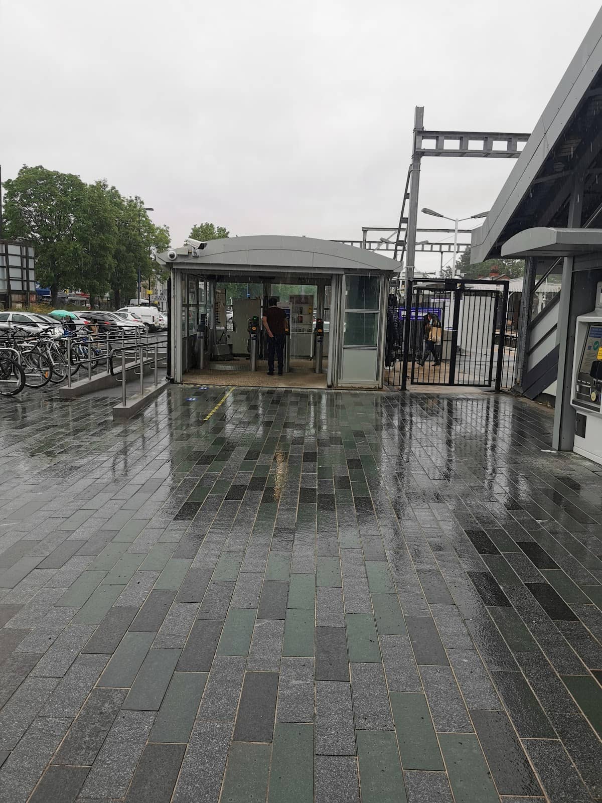 Local Wildlife Sightings