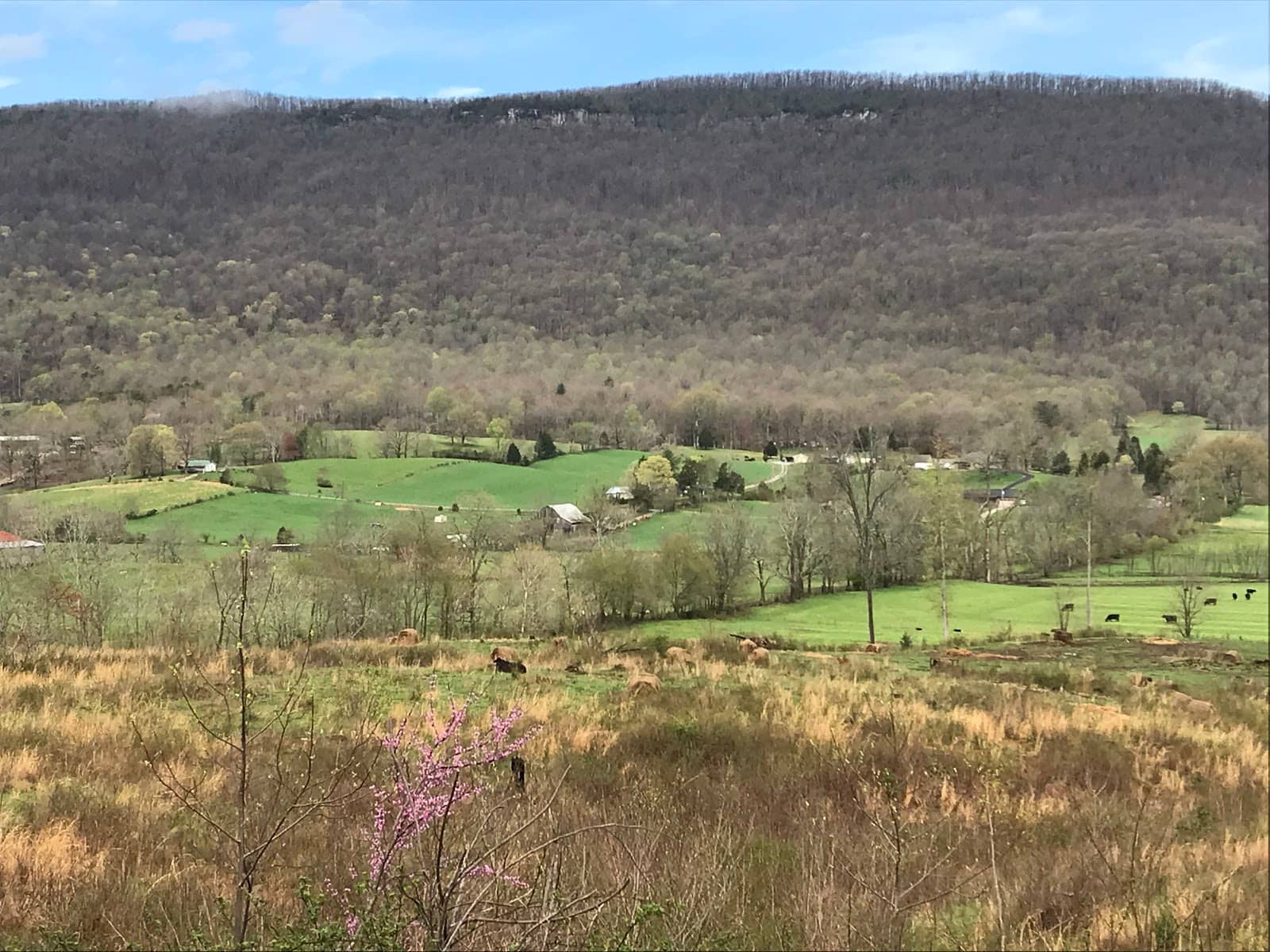 Black Mountain Summit