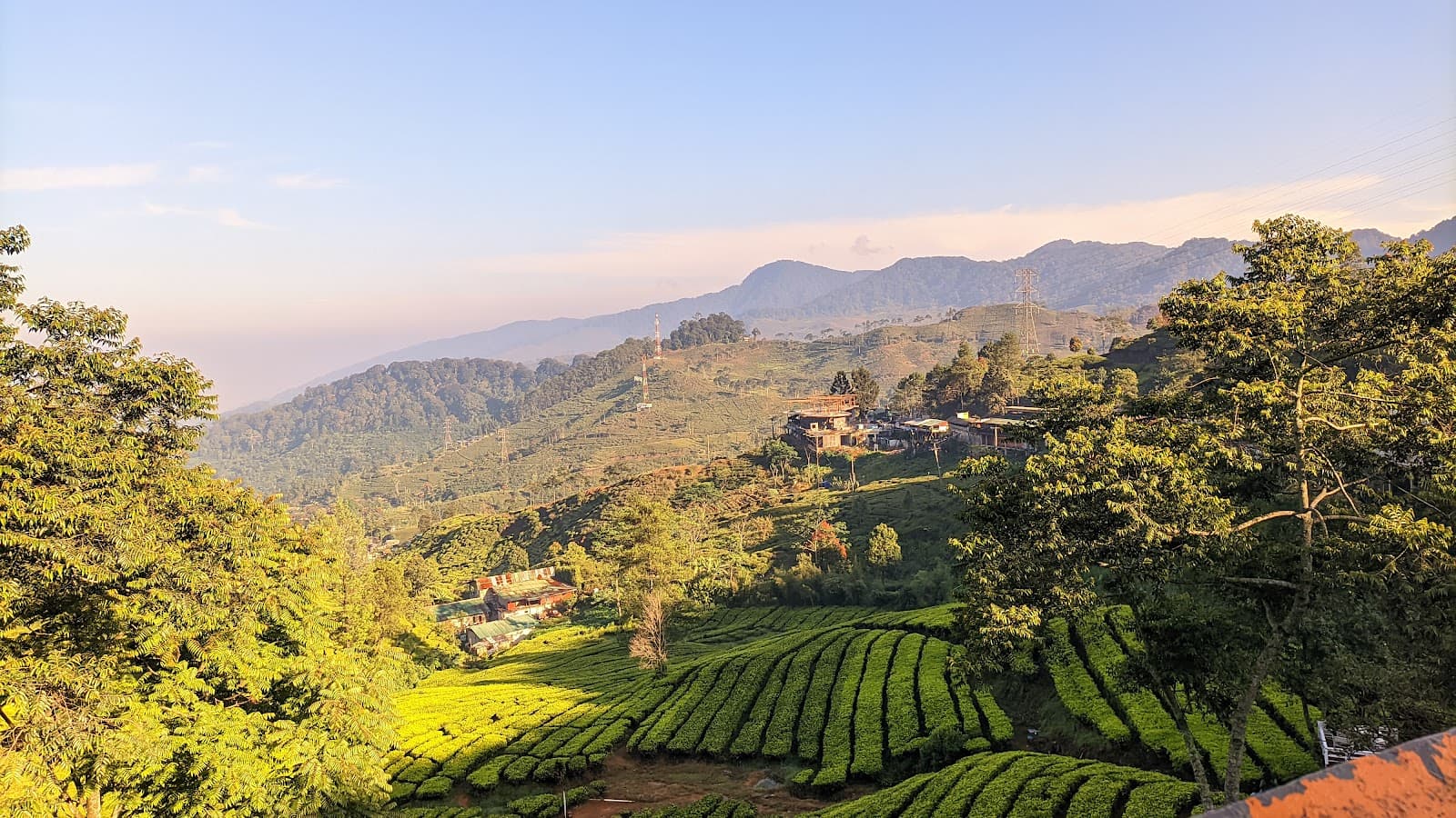 Puncak Scenic Drive - Image 1