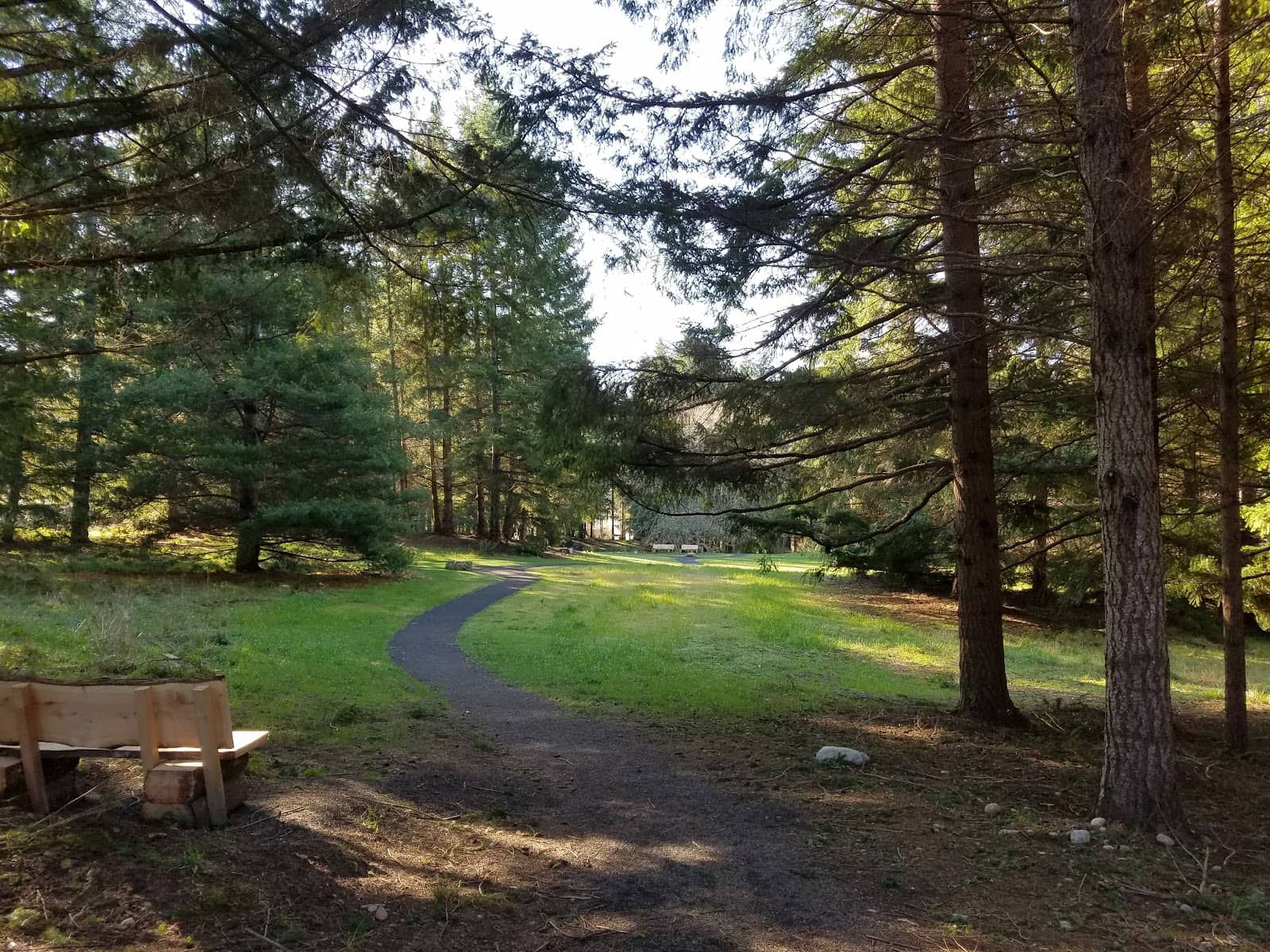 Walking Paths