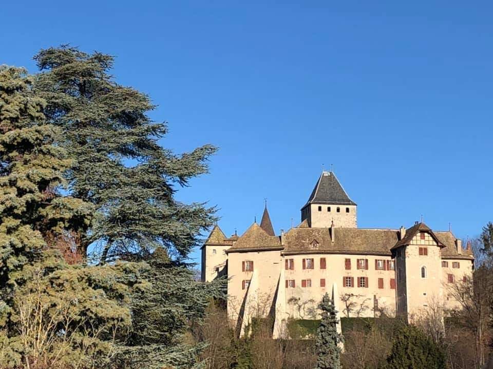 Château de Blonay - Image 1