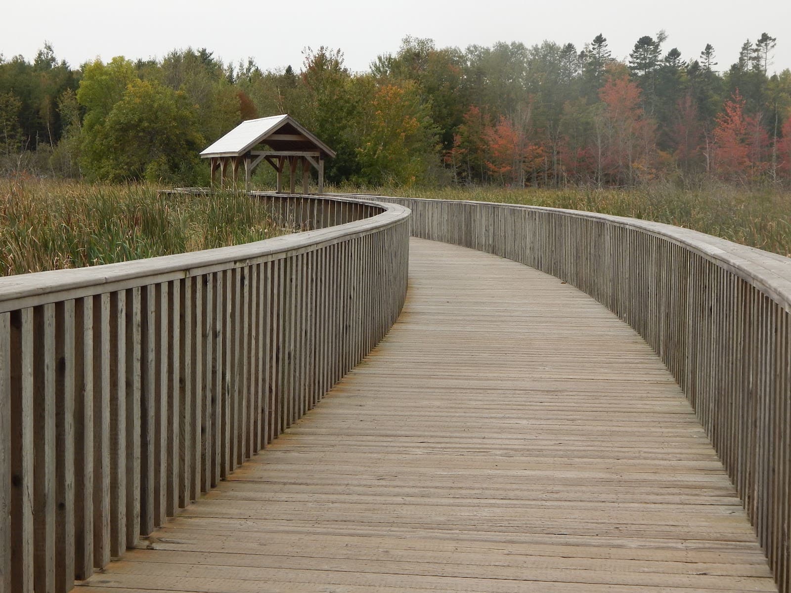 Oromocto River Trail - Image 1