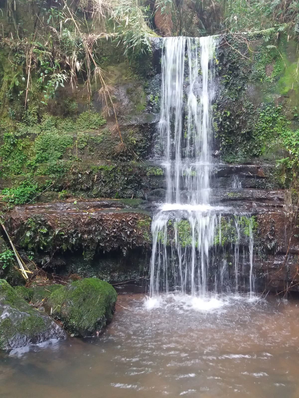 Jardim Botânico de Lages - Image 1
